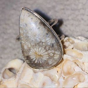 Adjustable Indonesian sea fossil corral ring